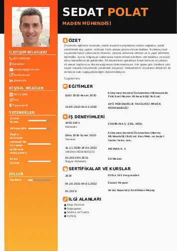 Maden Mühendisi Cv Örnekleri cv indir